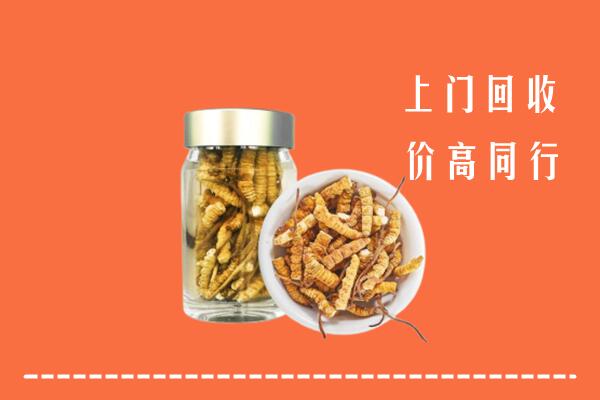 大庆市回收冬虫夏草