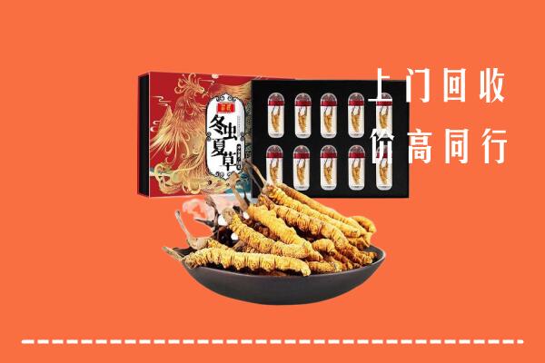 大庆市回收虫草